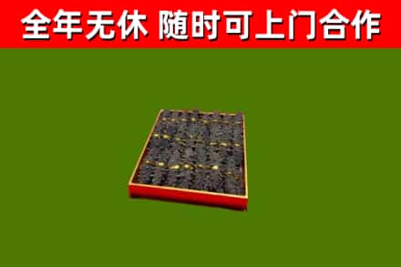 宁陵烟酒回收海参.jpg